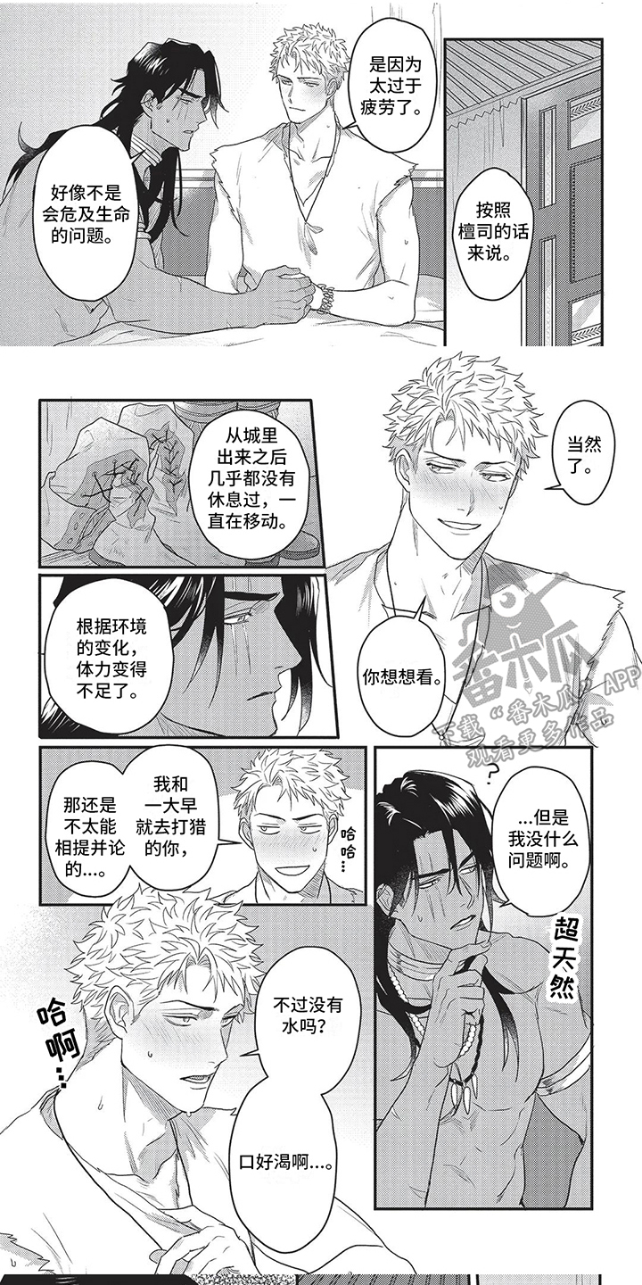 第17章：美丽高贵0