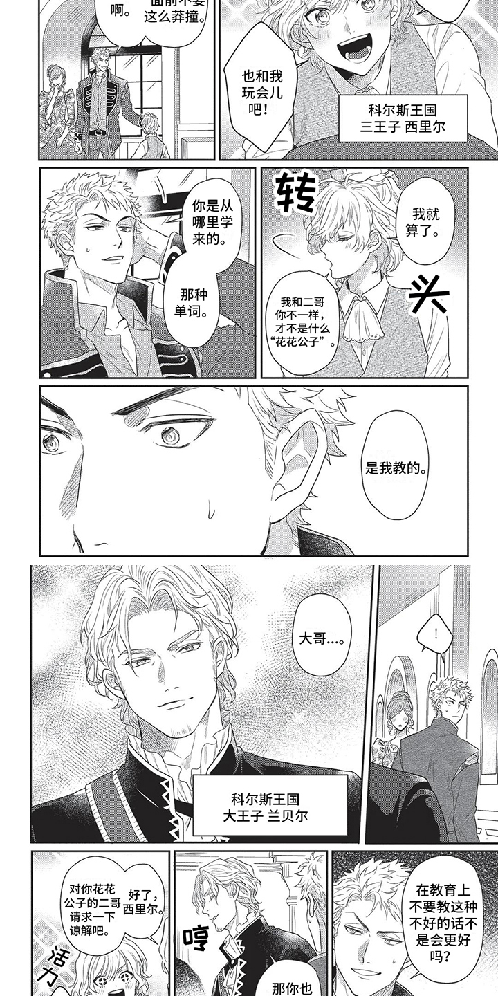 第1章：王子3