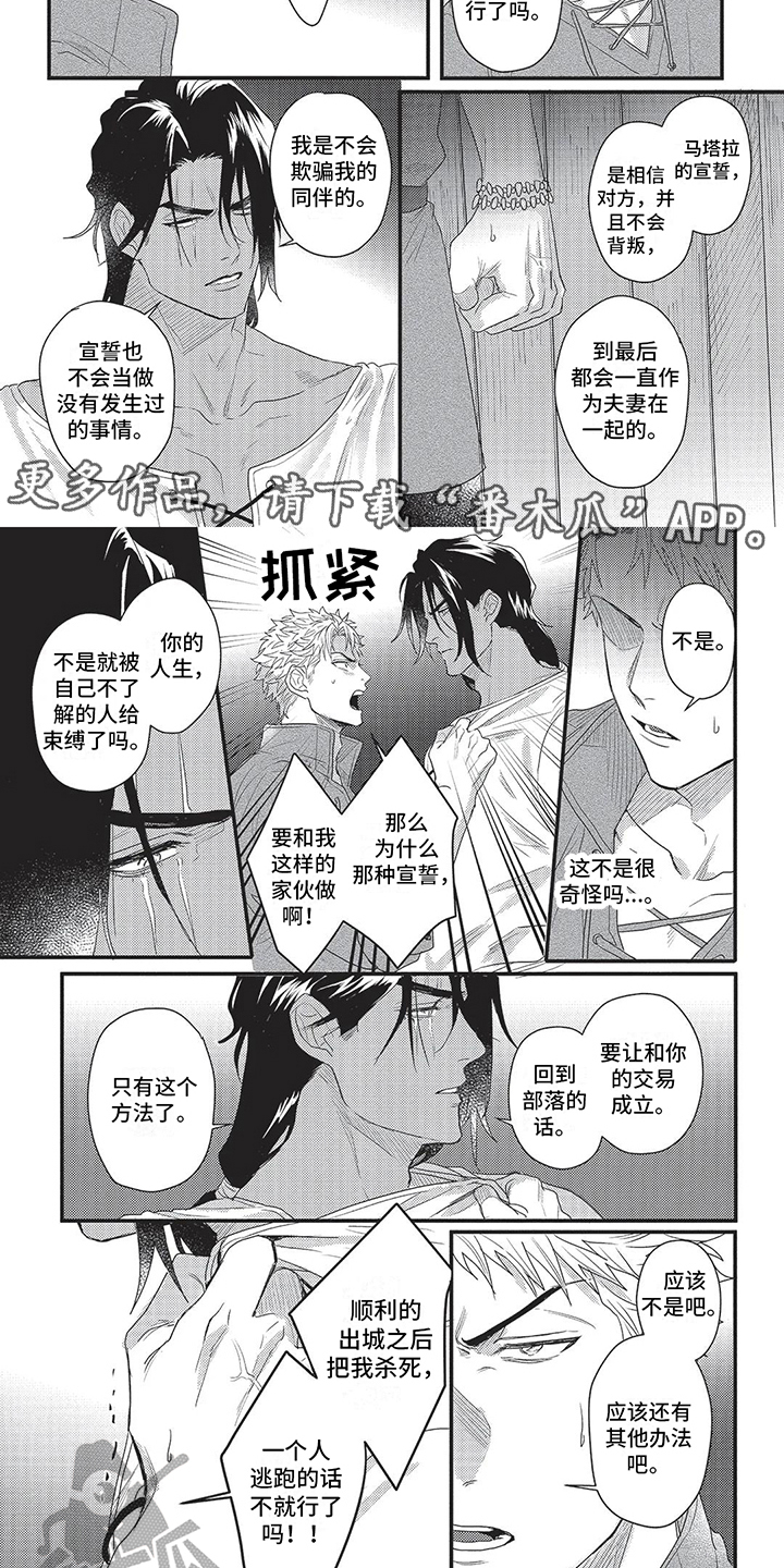 第6章：立场4
