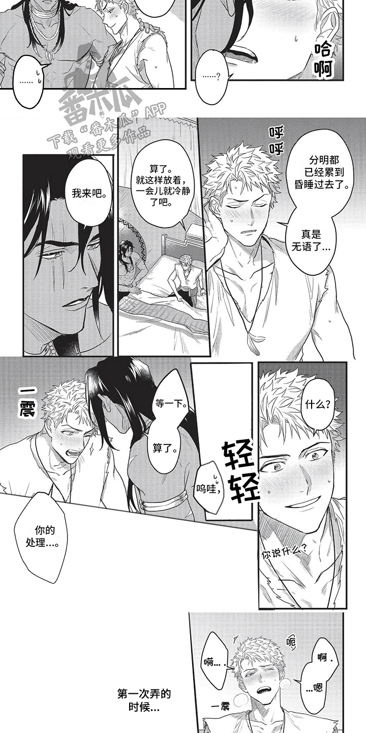 第17章：美丽高贵3