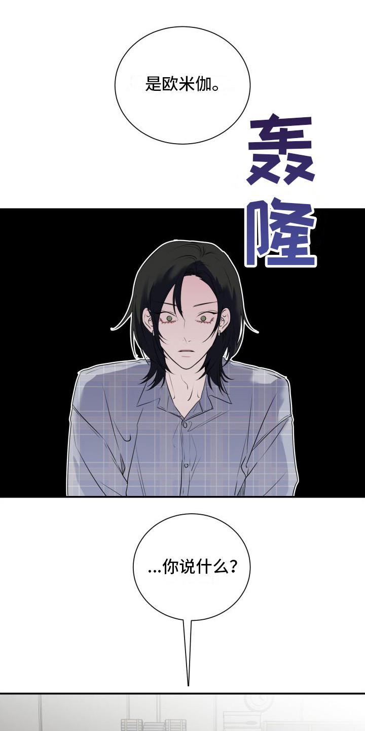 第13章：分化欧米伽0