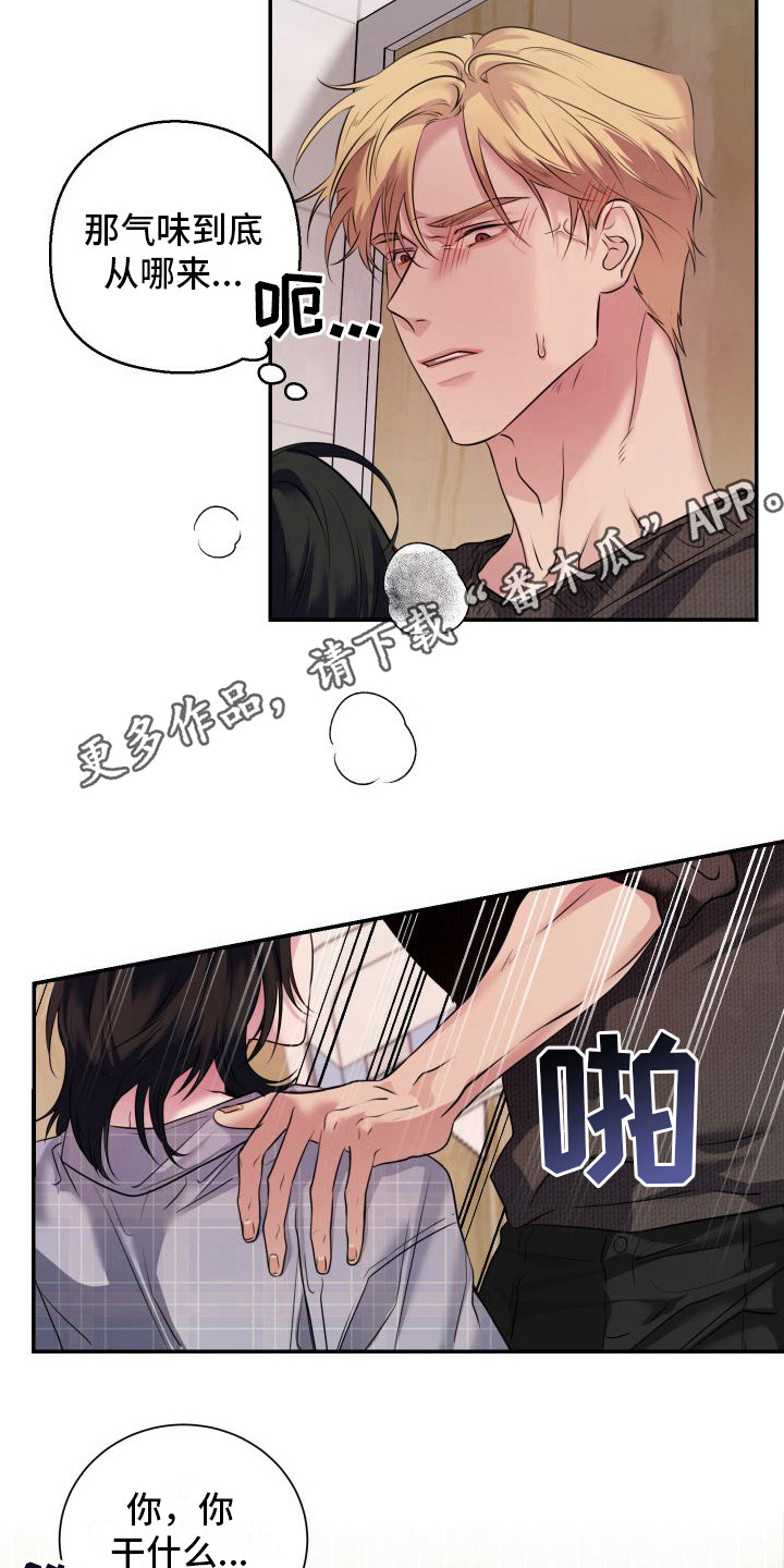 第12章：信息素4