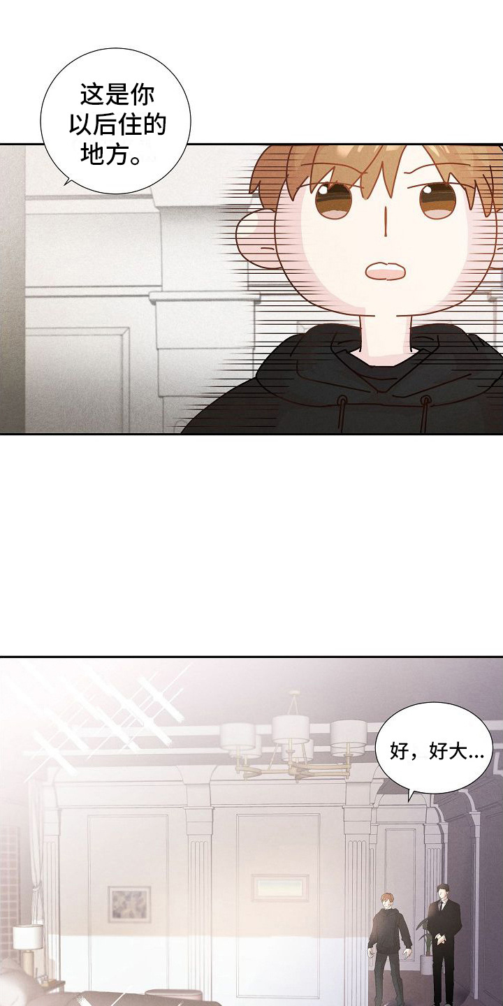 第6章： 配合治疗0