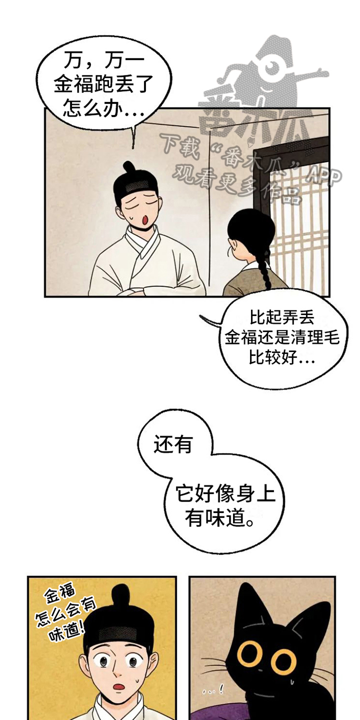 第15章：脏猫0