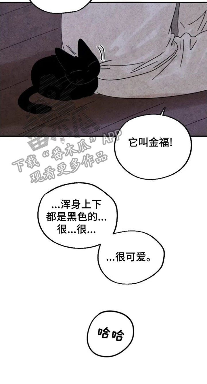 第25章：缘由0