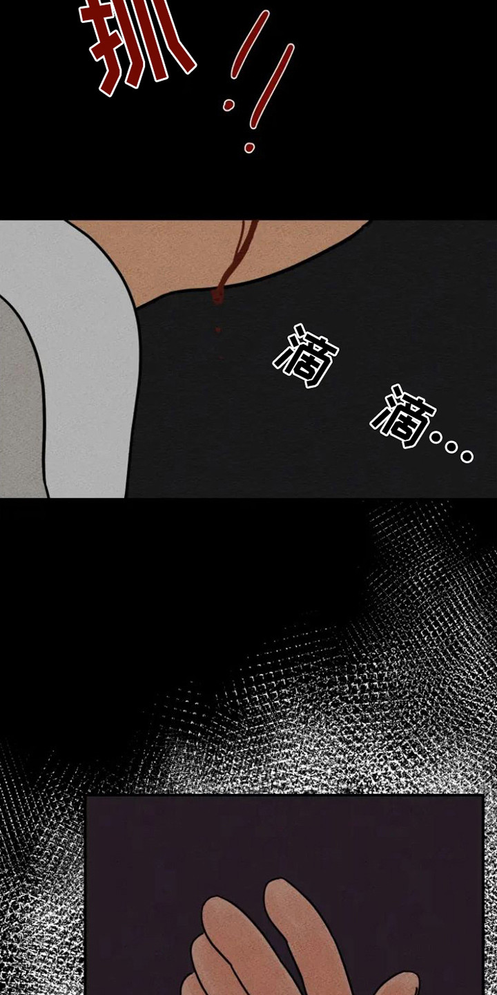 第34章： 颇多感触3