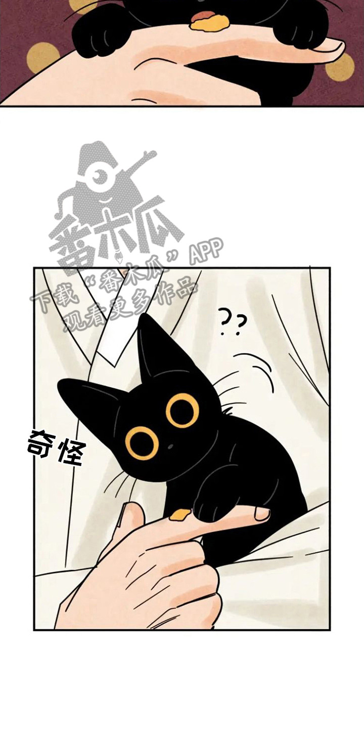 第27章：悄悄外出1