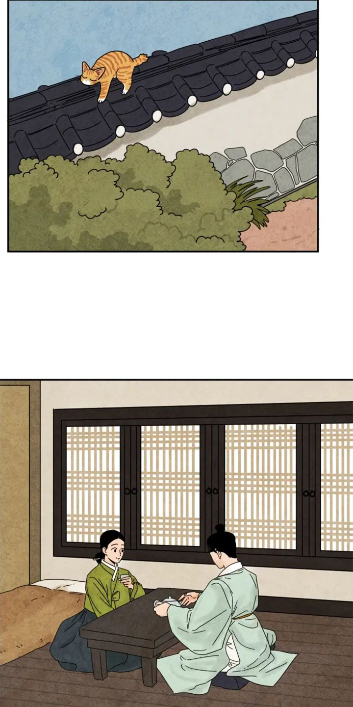 第48章：猫抓板2