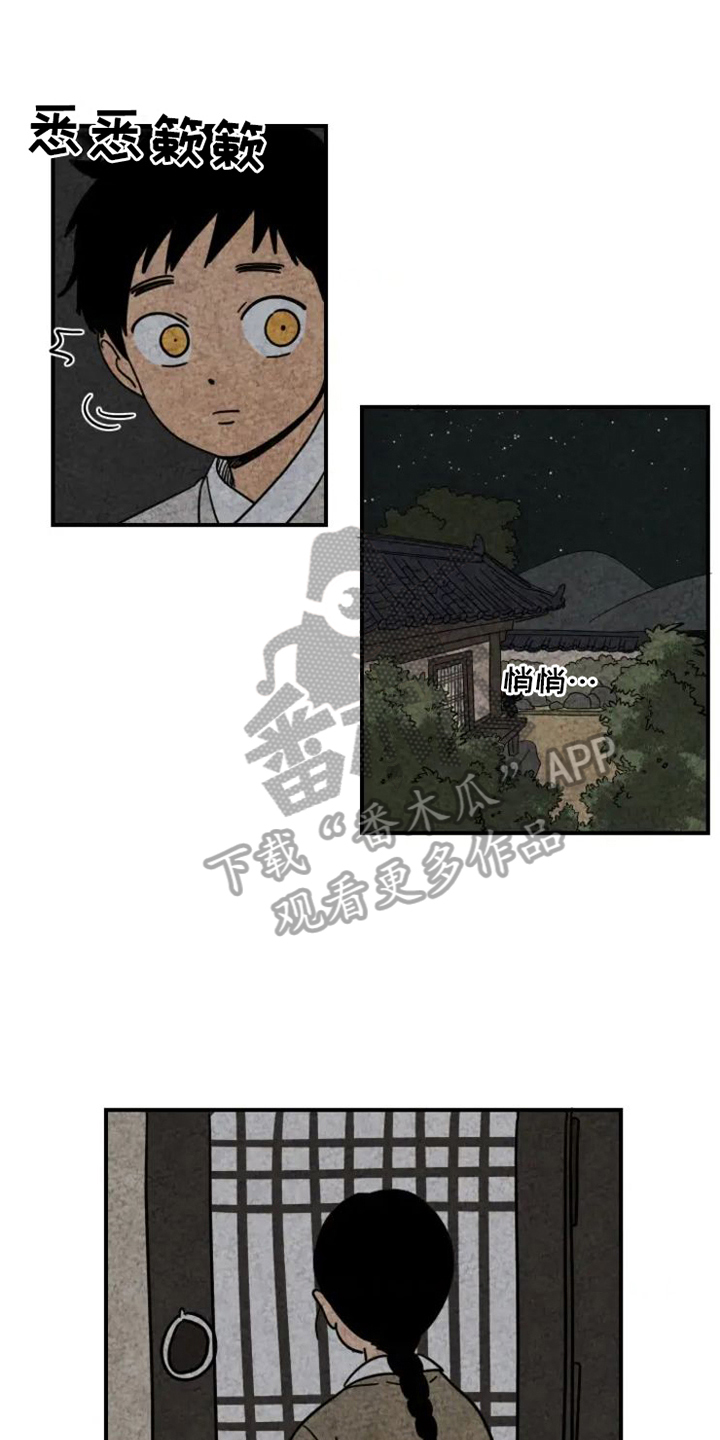 第14章：掉毛0