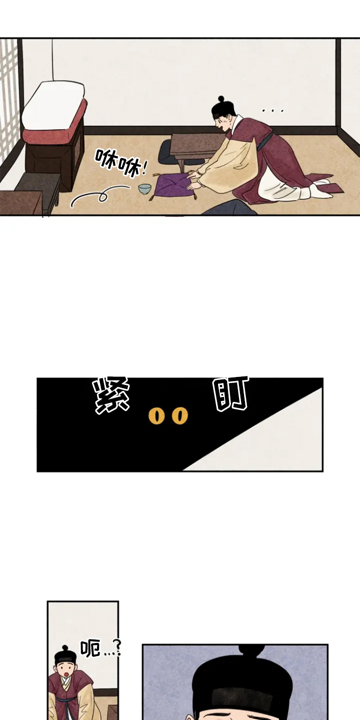 第5章：融入3