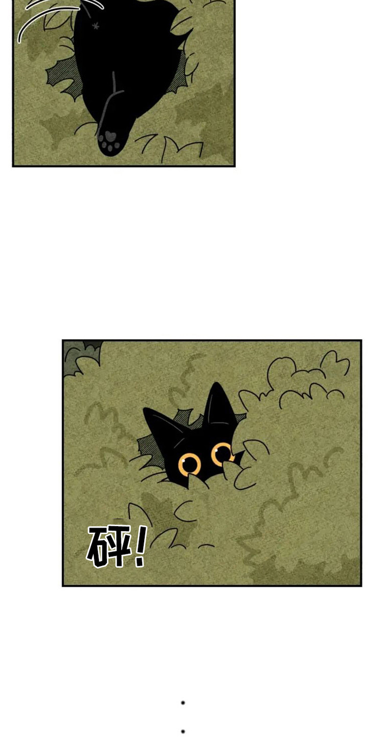 第30章：夸奖2