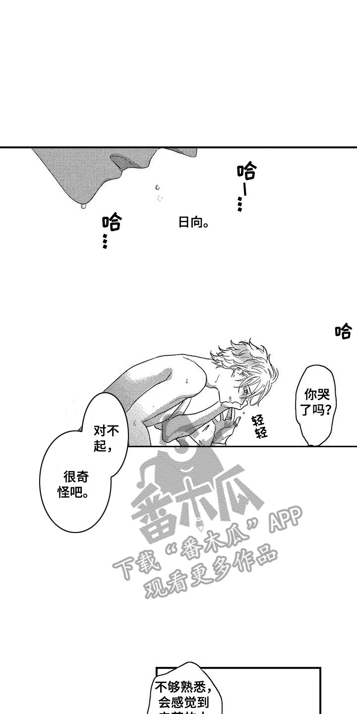 第27章：喜欢你1