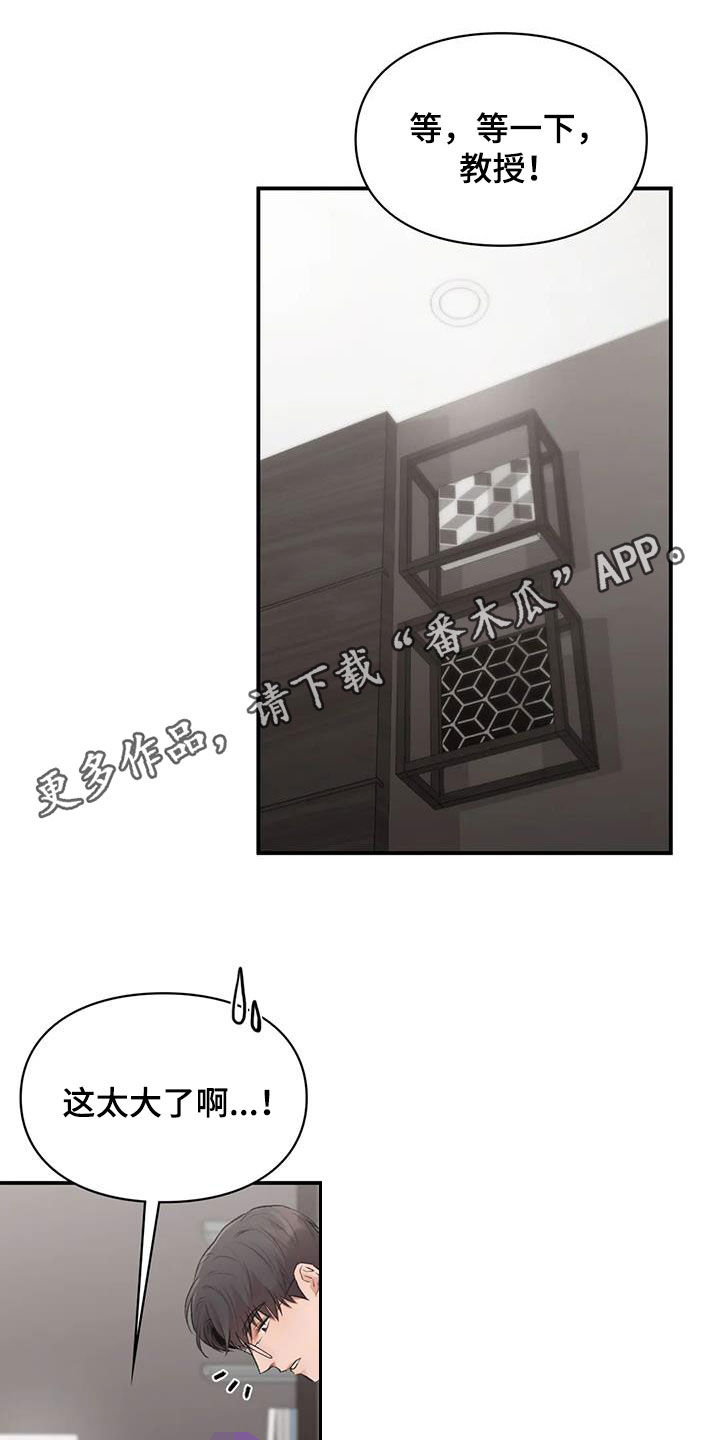 第53章：小猫咪0