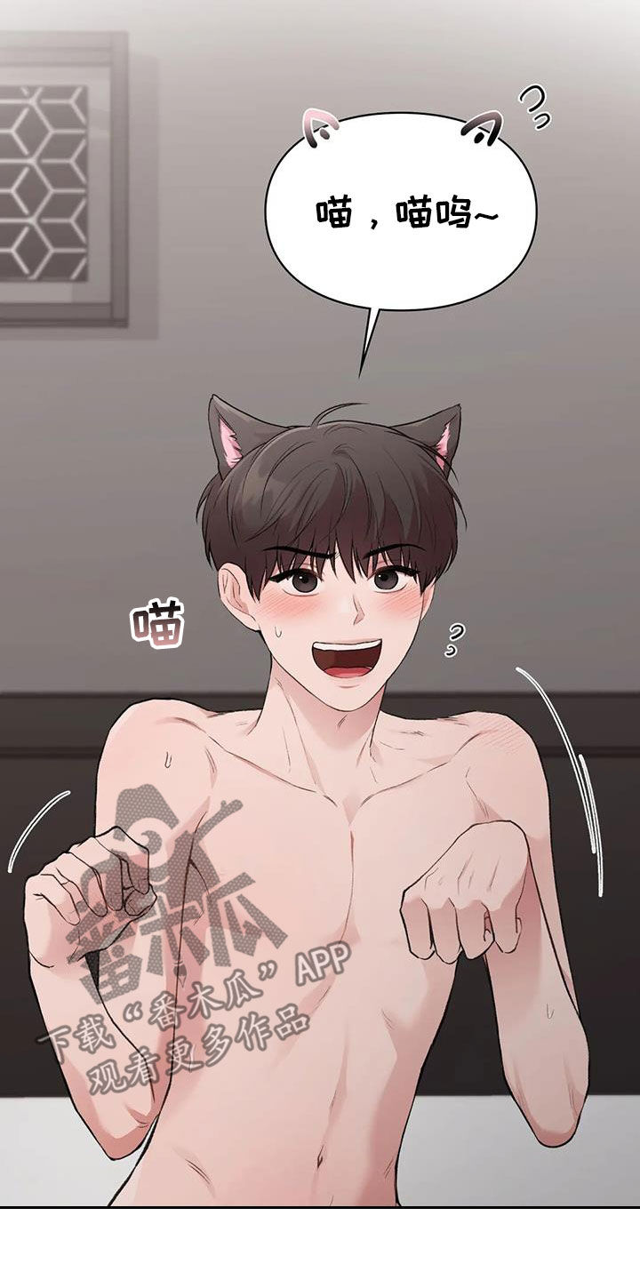 第53章：小猫咪4