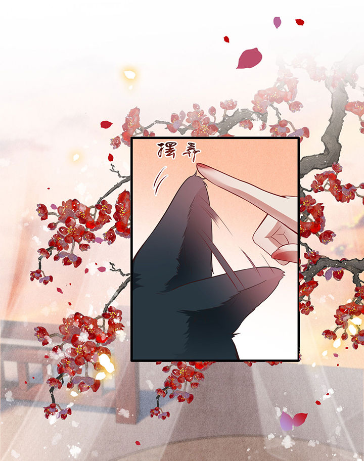 第71章： 本宫答应嫁给你了吗？！0