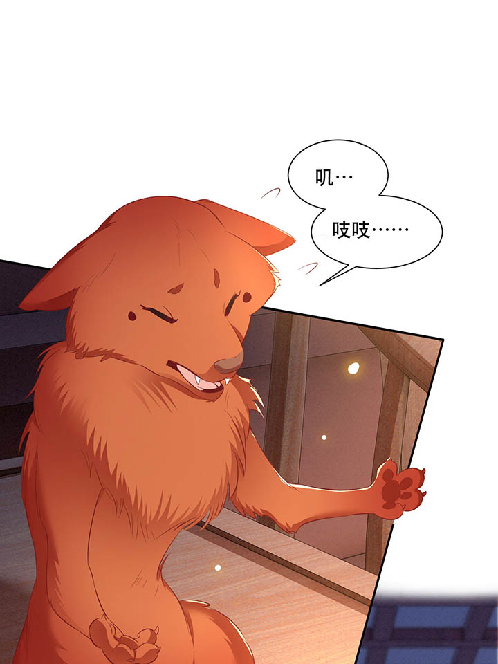 第110章：赶紧把裤子脱了0