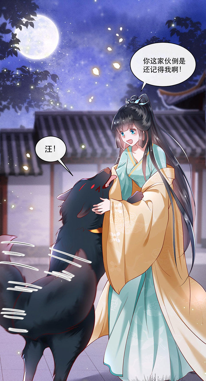 第50章：喝了迷魂药，过了奈何桥0