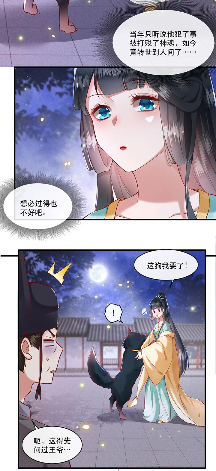 第50章：喝了迷魂药，过了奈何桥1