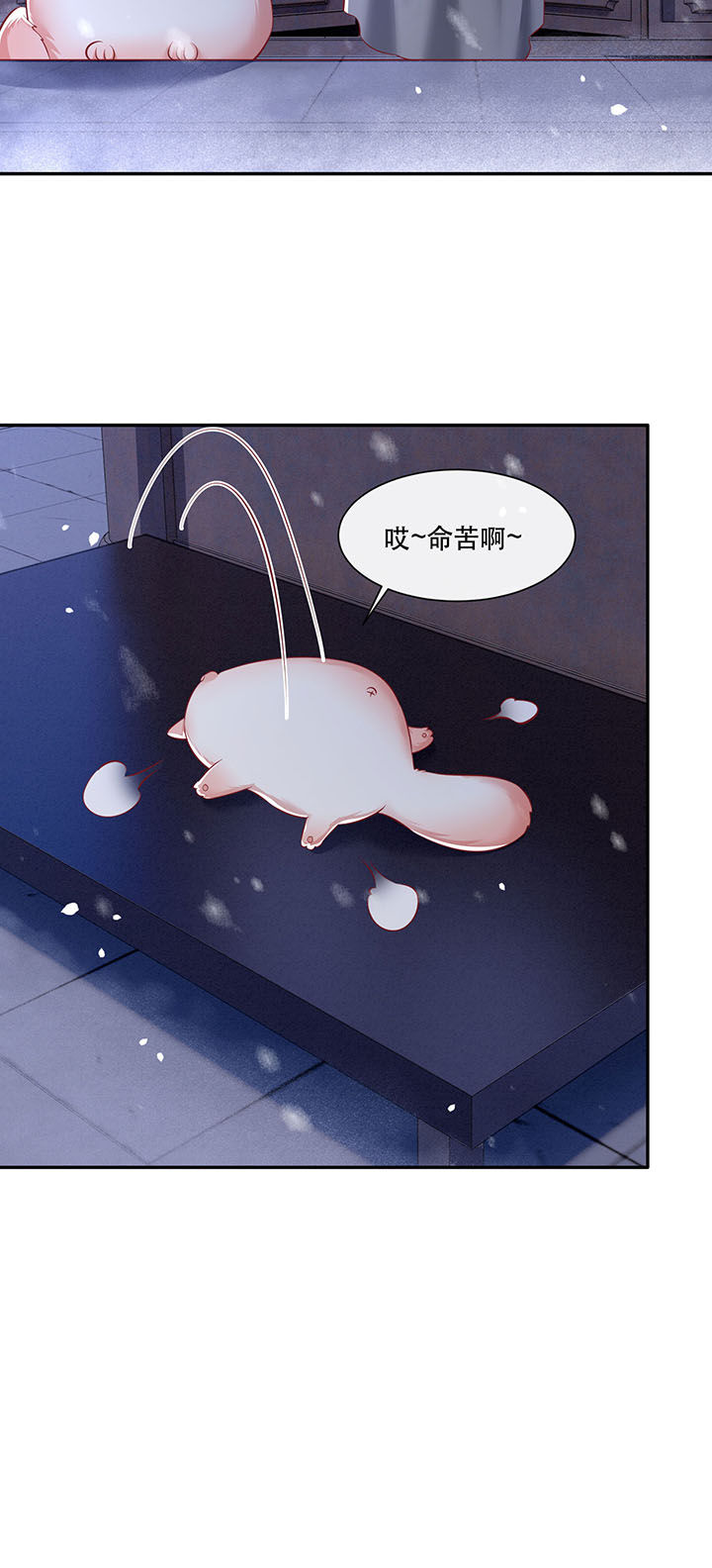 第126章：求个婚告昭六界？！4