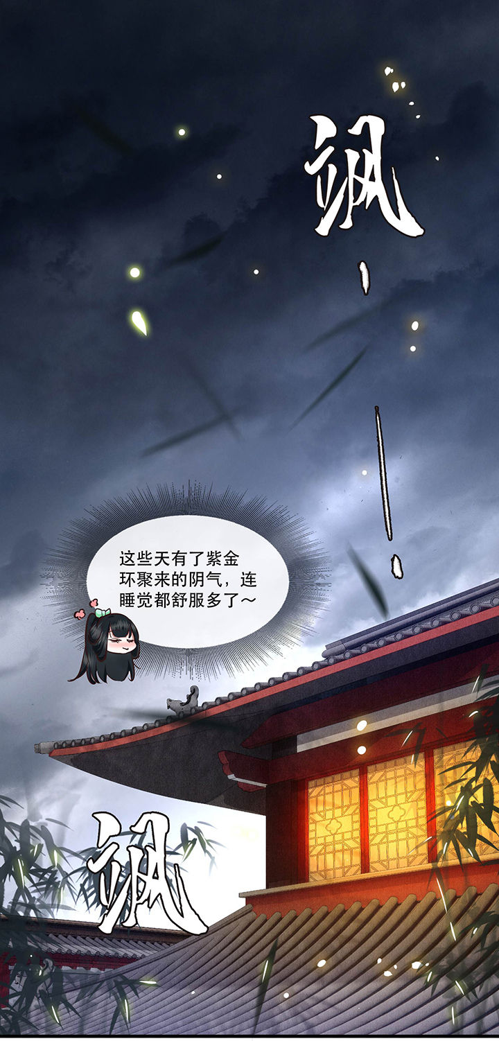 第53章：放你出去，一日放纵0