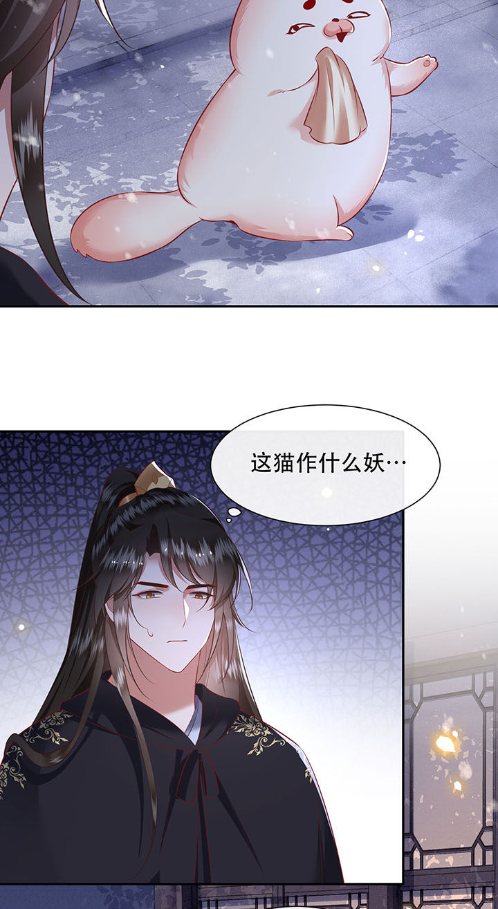 第126章：求个婚告昭六界？！1