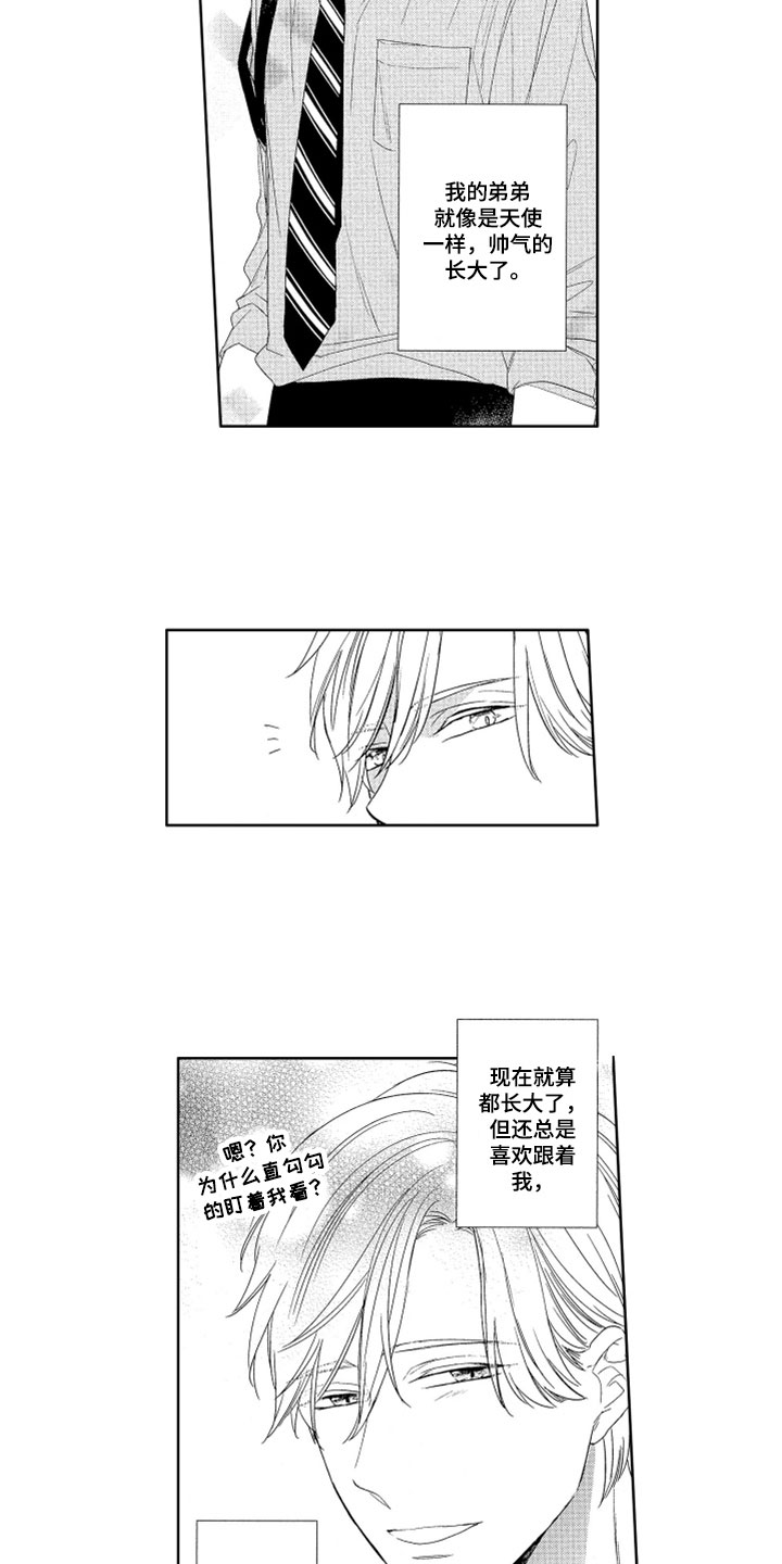 第3章：帅气弟弟3