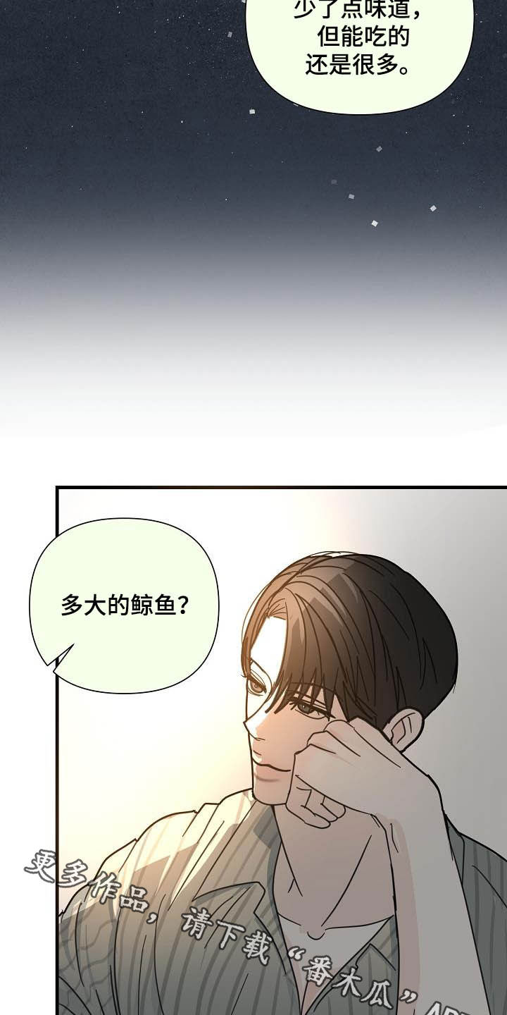 第30章：鲸鱼2