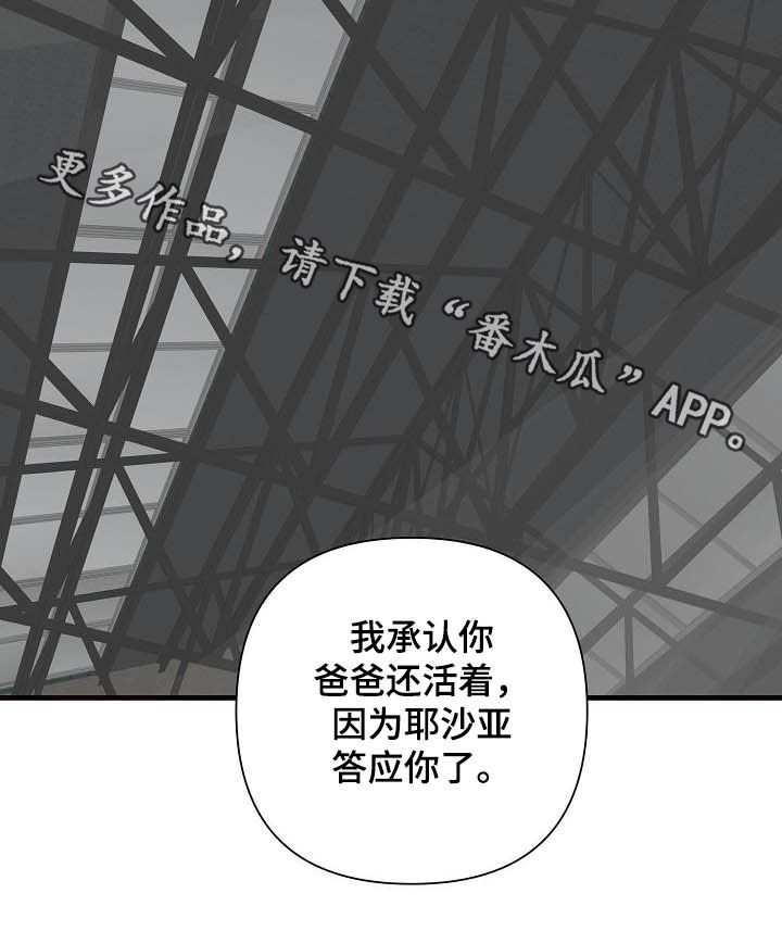 第29章：救父3