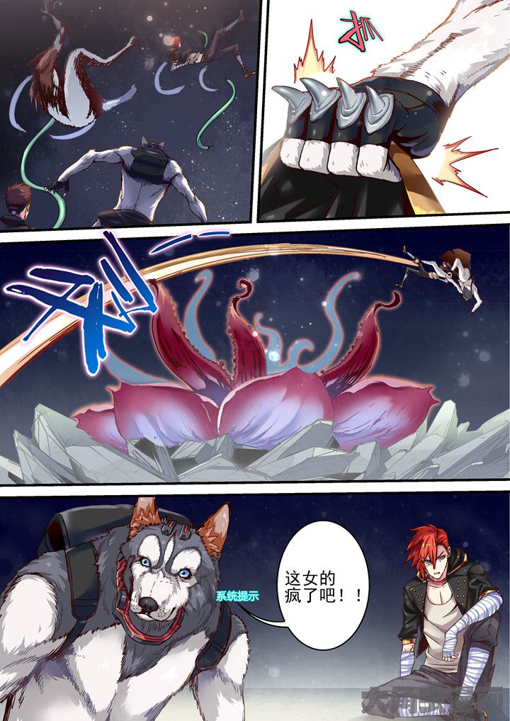 第49章：系统提示1