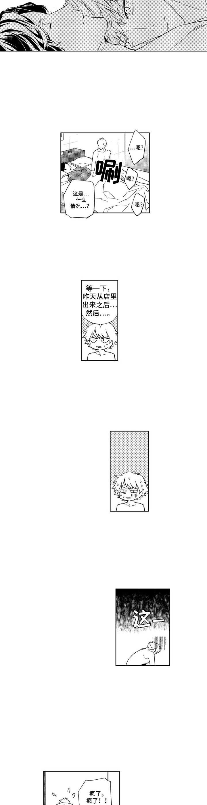 第6章：匹配结果2