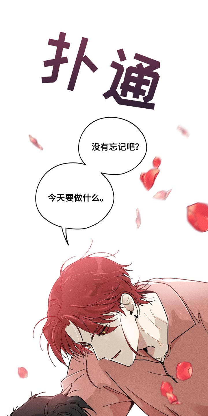 第21章：尝试中0