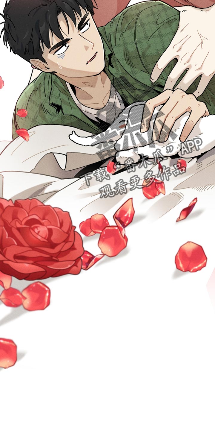 第21章：尝试中1