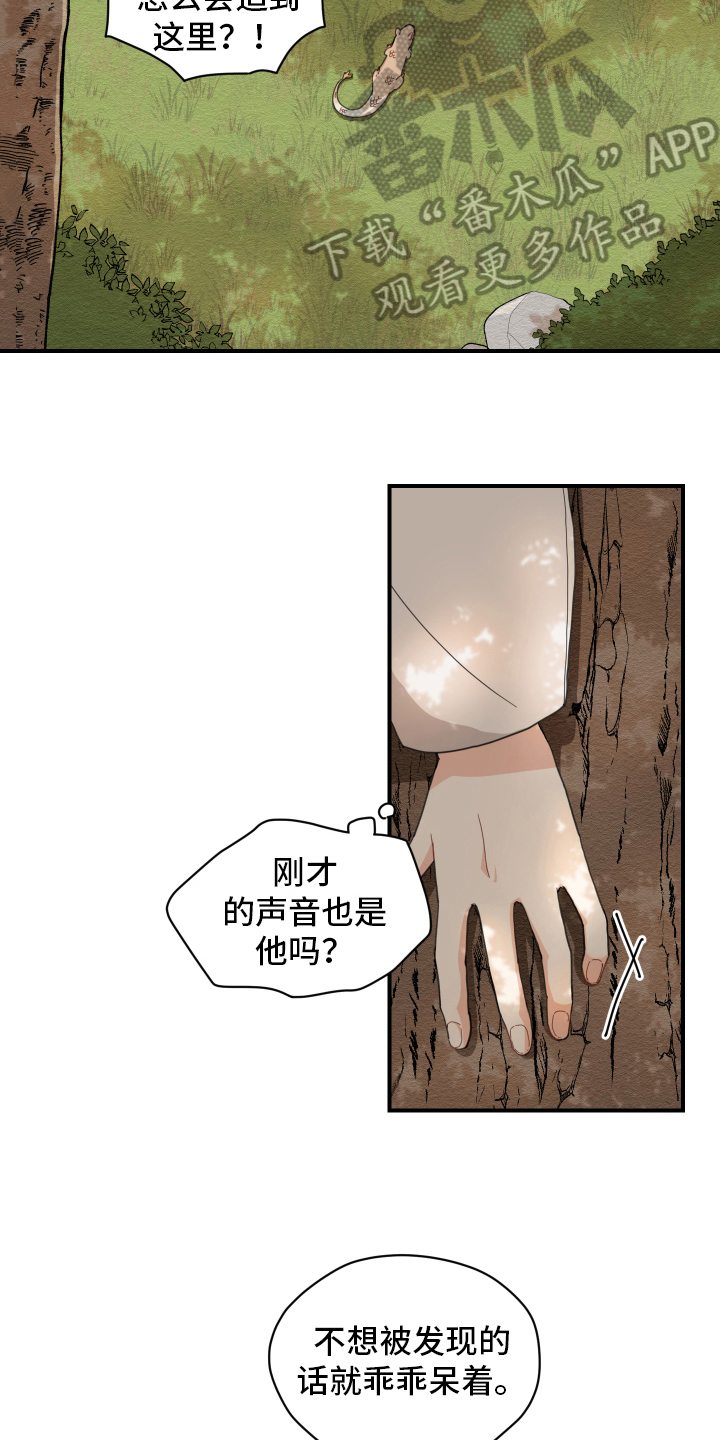 第4章：龙2