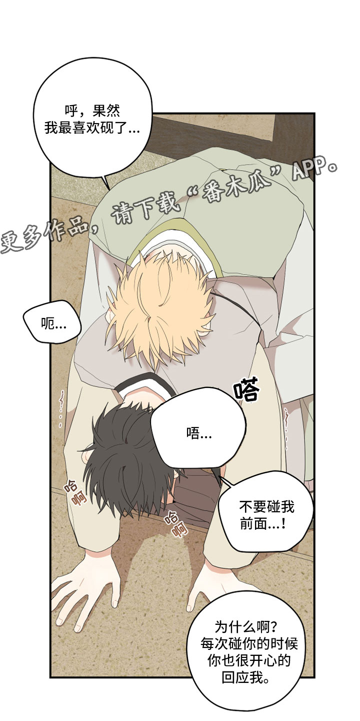 第44章：最喜欢了0