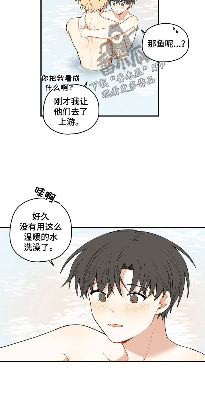 第71章：【番外】可惜2