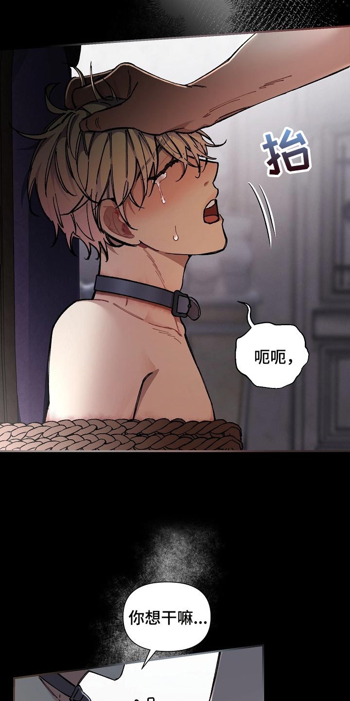 第70章：【第二季】合适的主人2