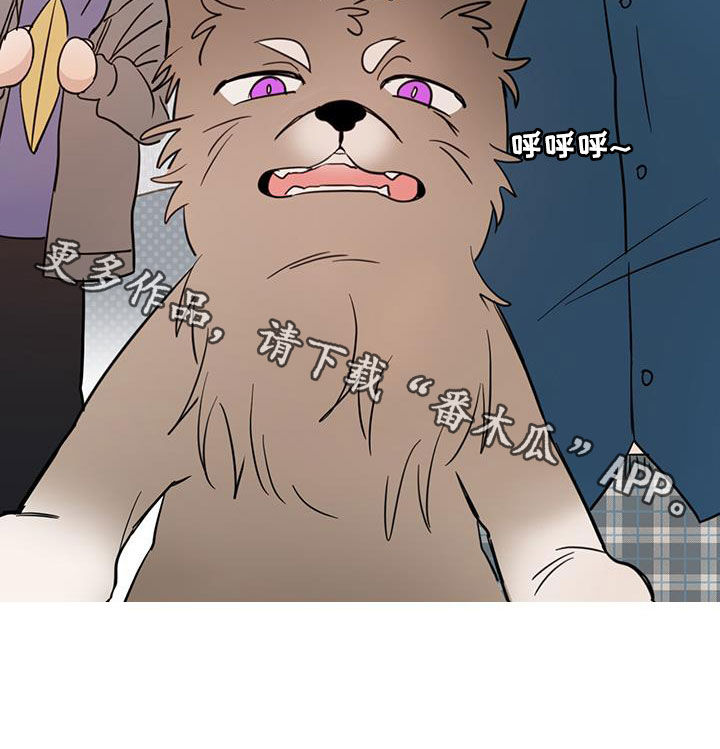 第75章：【第二季】醒来4