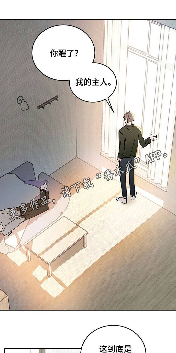 第15章：大嘴巴0
