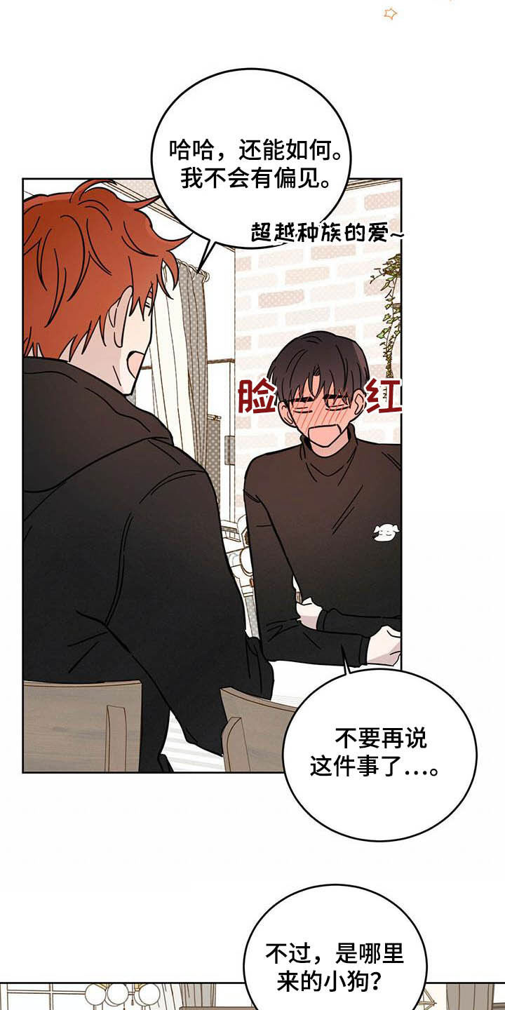 第24章：宠物捉迷藏3