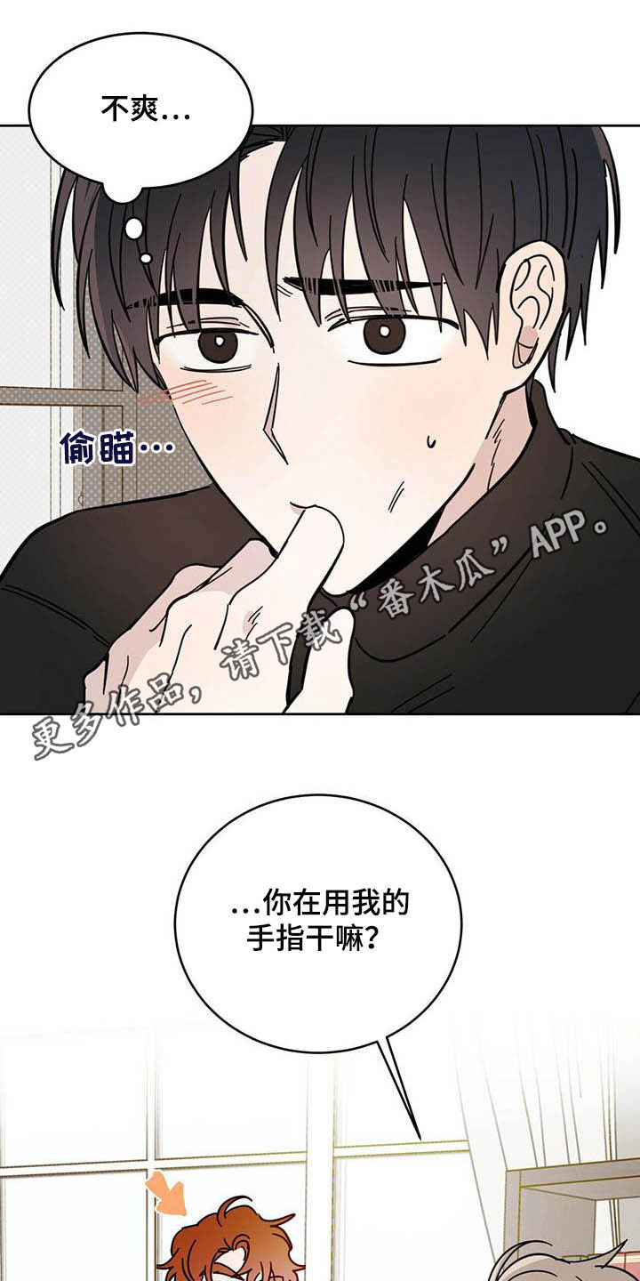 第24章：宠物捉迷藏0