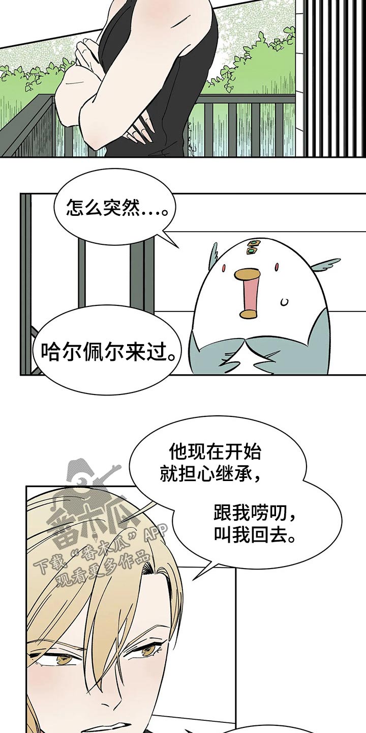 第51章：打算1