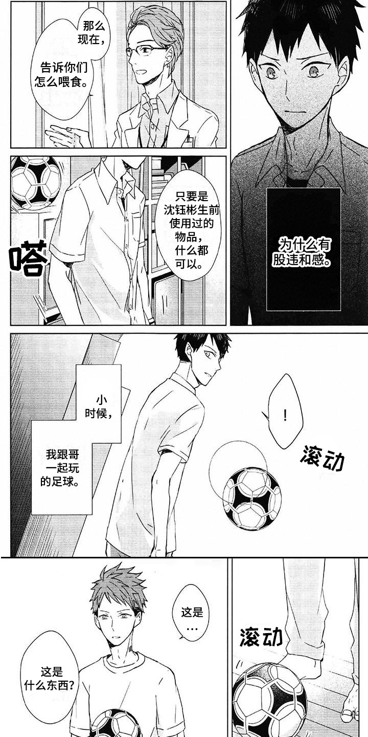 第3章：仿生机器人4