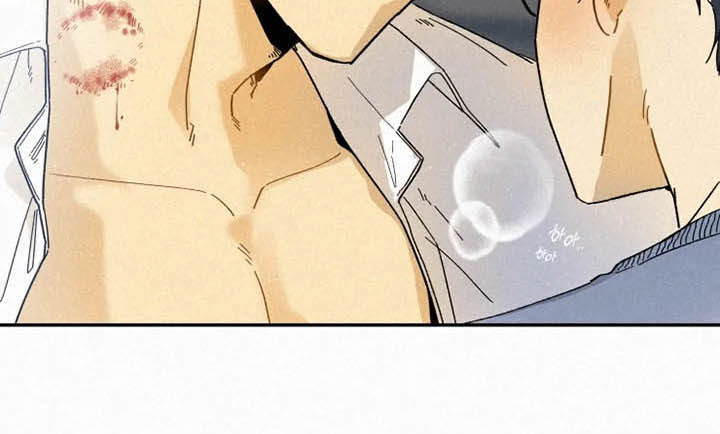 第96章：【番外完结】推荐3