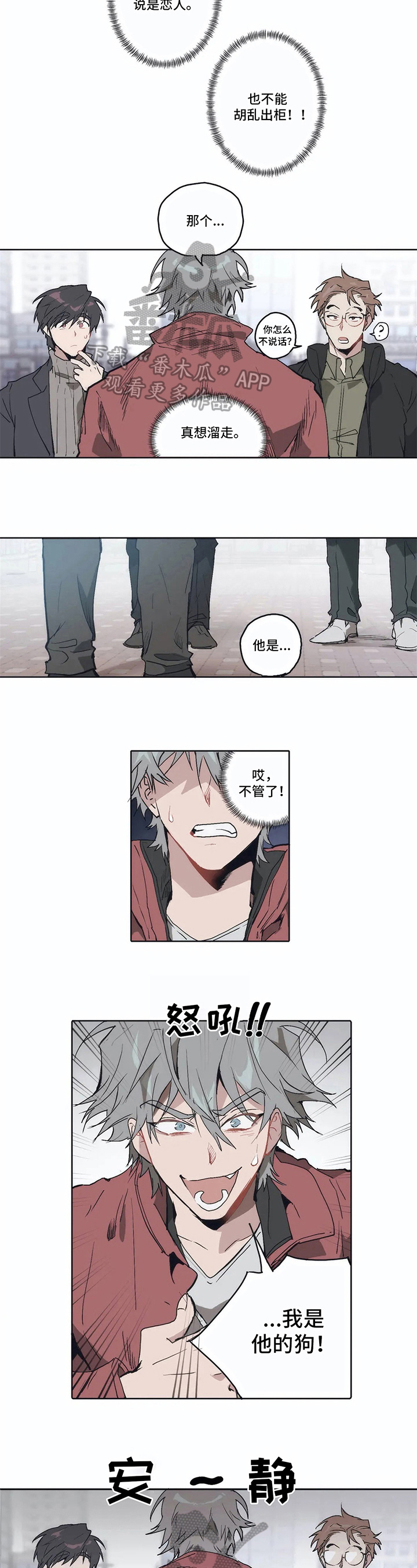 第11章：好奇3