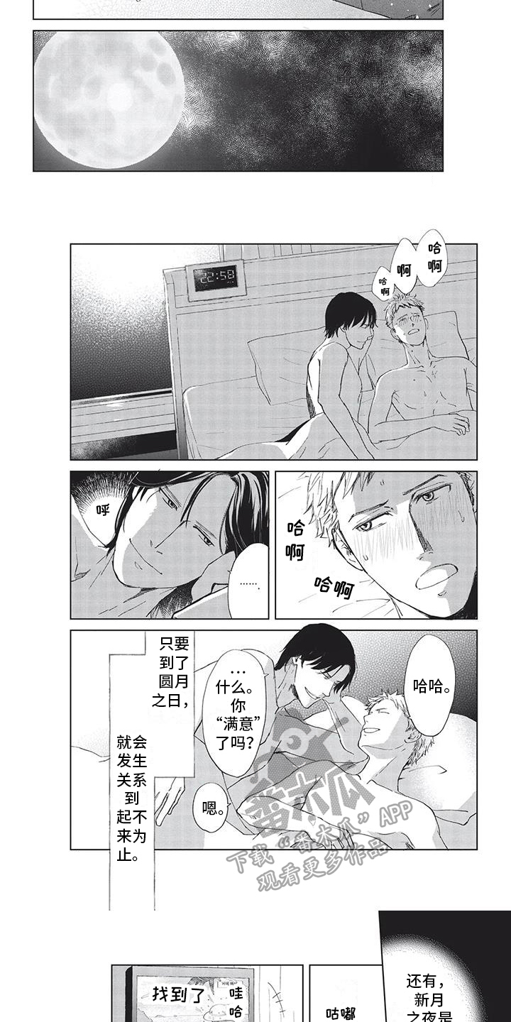 第12章：支仓手记2