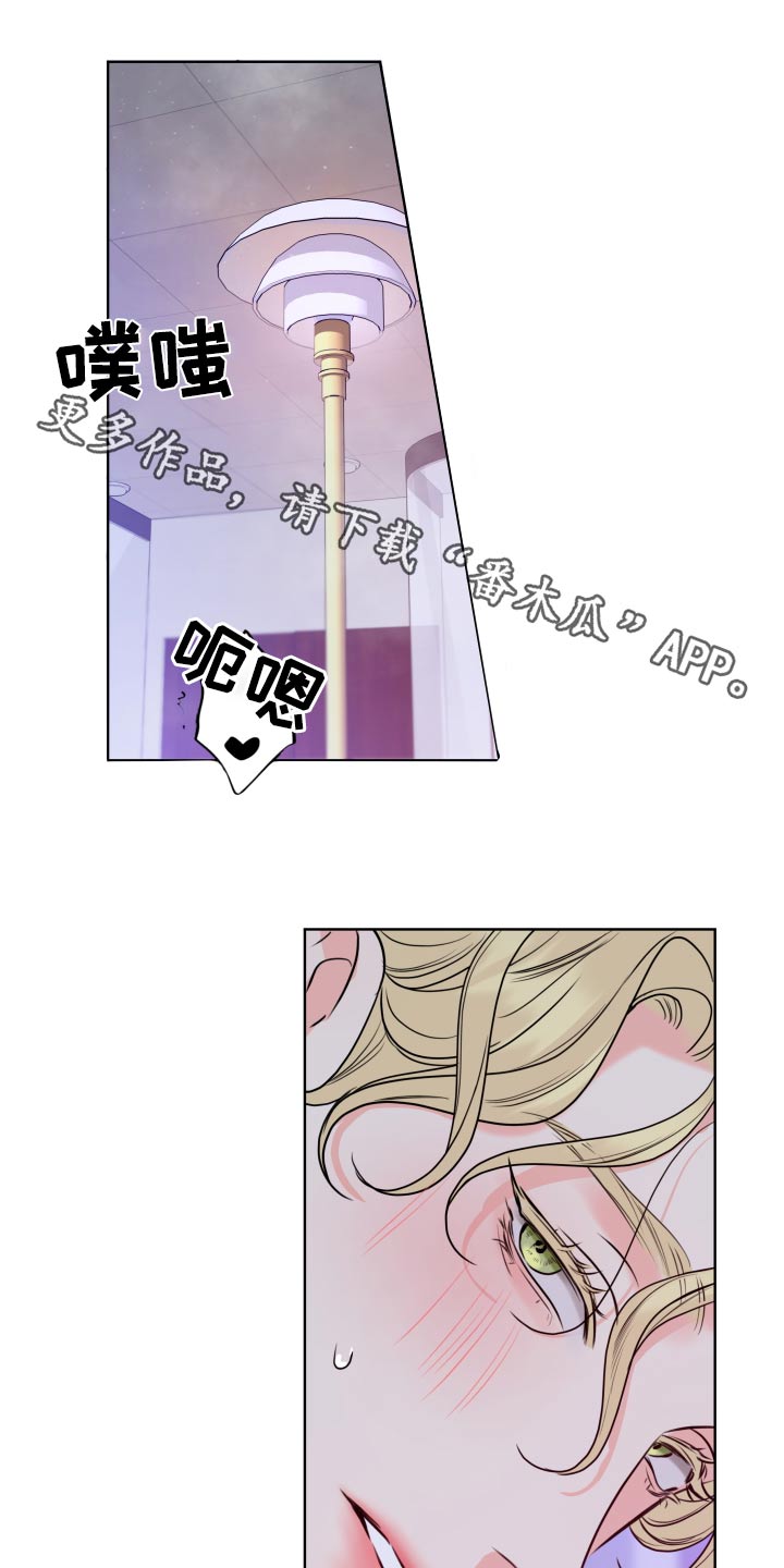 第41章：明明很喜欢0