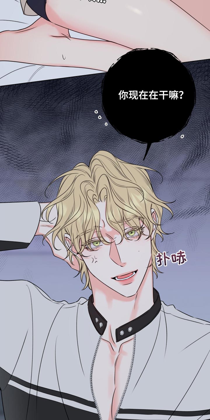 第16章：最有魅力的阿尔法1