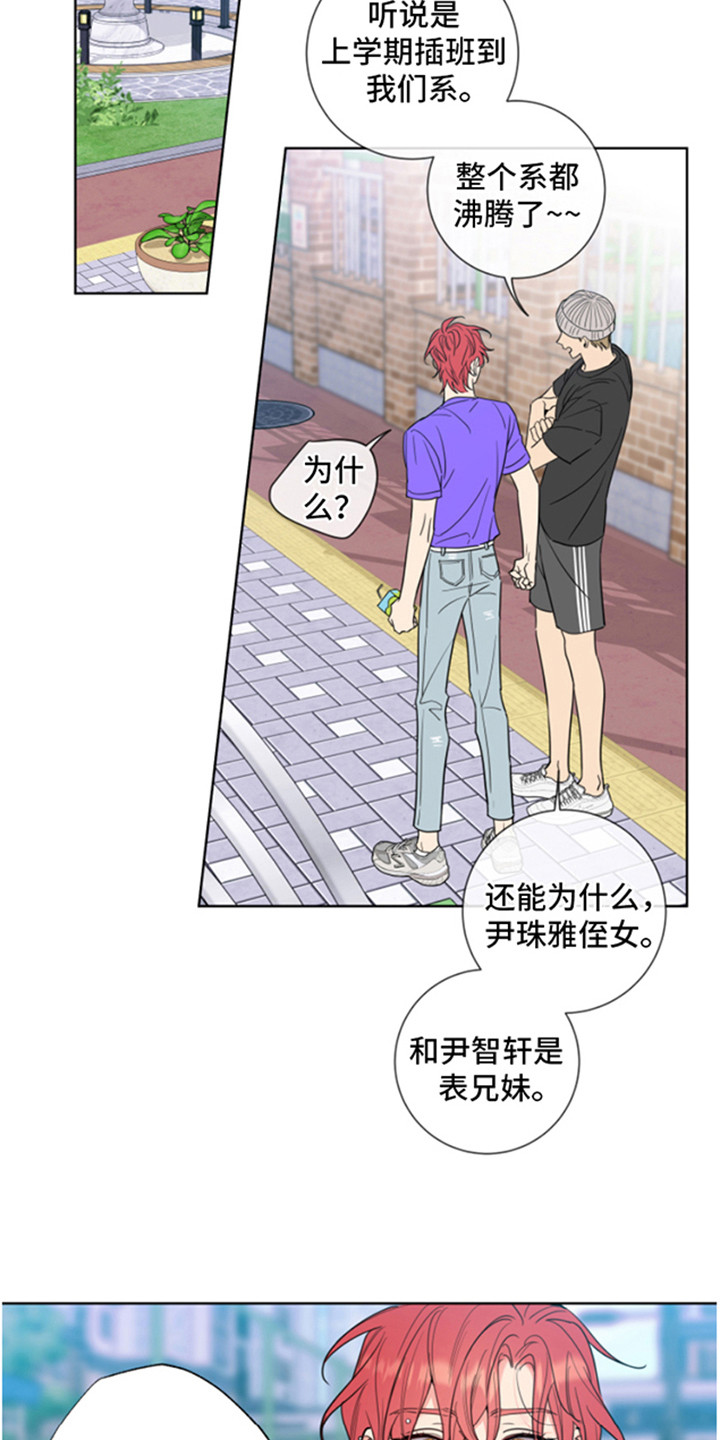 第4章：一见钟情4