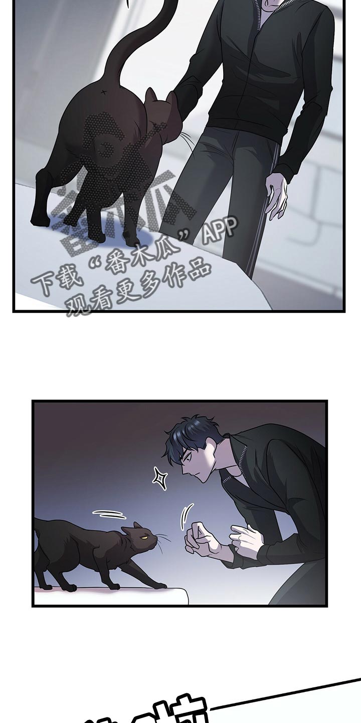 第29章：聪明的猫咪3