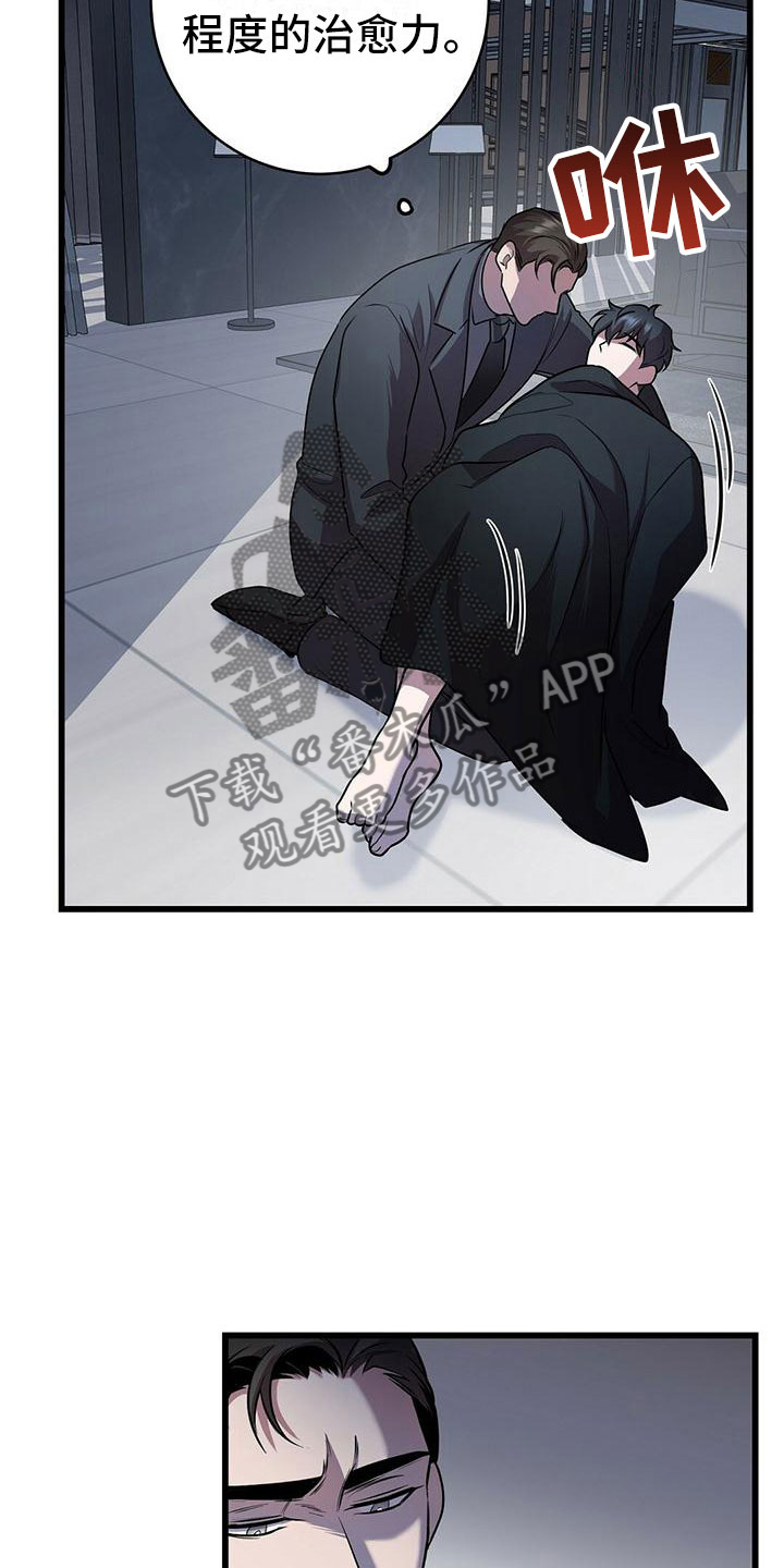 第20章：触底反弹3